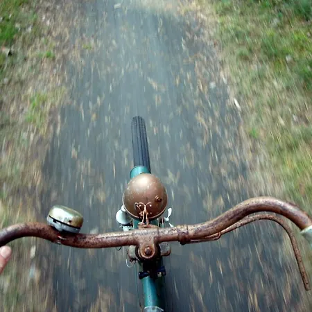 Traumhaff - Strandhaus Am Achterwasser. Design Und Kunst Auf Usedom, Mit Kamin Und Sauna Holiday home