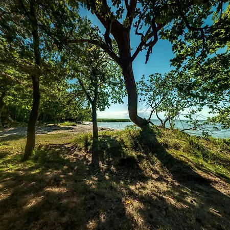 Traumhaff - Strandhaus Am Achterwasser. Design Und Kunst Auf Usedom, Mit Kamin Und Sauna Quilitz