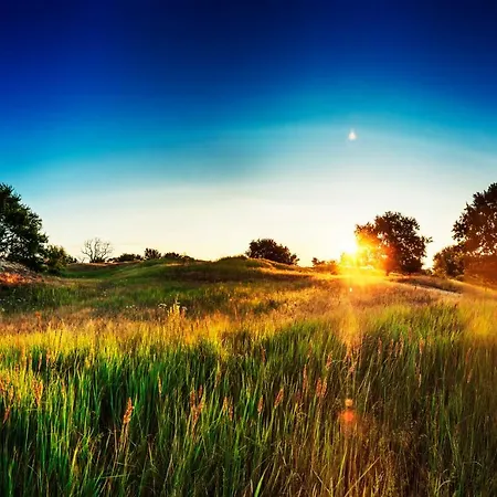 Holiday home Traumhaff - Strandhaus Am Achterwasser. Design Und Kunst Auf Usedom, Mit Kamin Und Sauna Quilitz